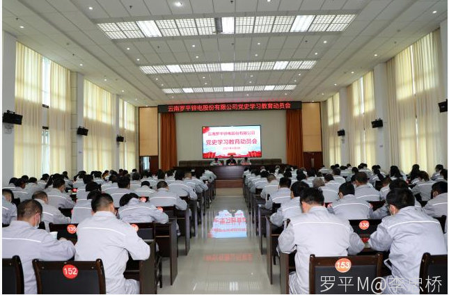 365在线体育-首页召开党史学习教育动员会